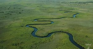 Okavango: Reise ins Paradies